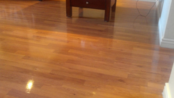 Hardwood Floor Cleaning and Polishing